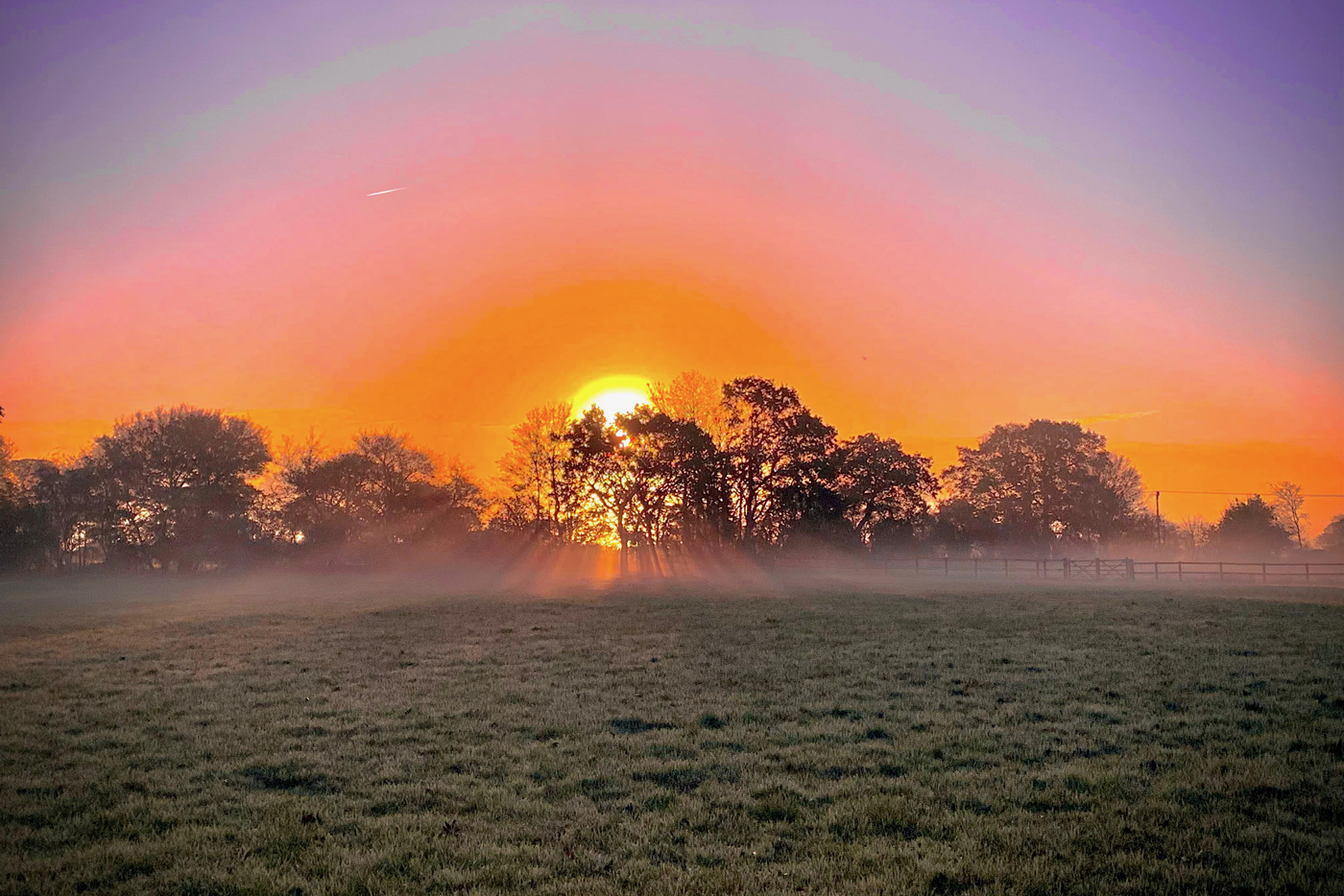 Crafted with a Conscience